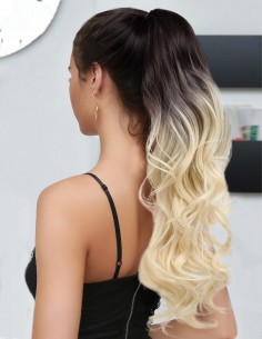 Coada New Style Long Ombre...