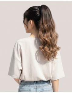 Coada New Style Ombre... 2